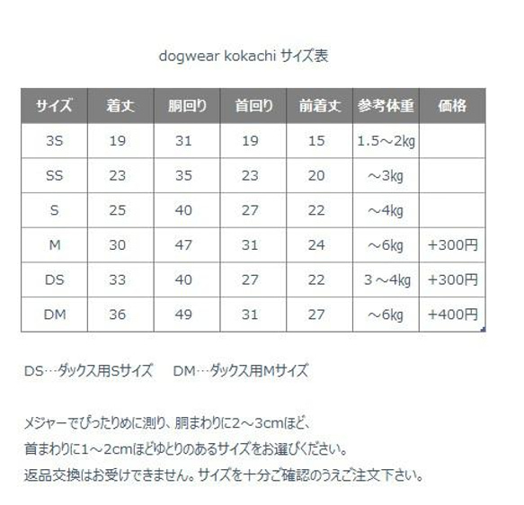  第9張的照片