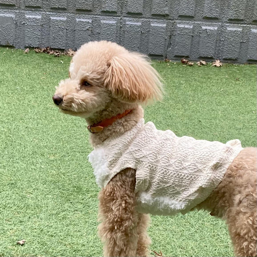 ぴーち様❤️秋冬♡アランニット♡メルヘン♡くま耳♡タンクトップ♡ハンドメイド犬服 PET PARADISE 犬 服 冬 花 刺繍 アランニット 小型犬 | 保温 暖かい