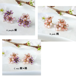 violet《 紫 》 春の花 桜 天然石（ローズクォーツ） 2way ピアス( サージカルステンレス ) 10枚目の画像