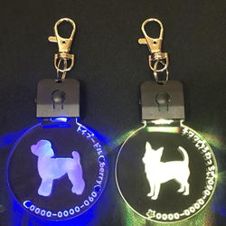 めっちゃカッコイイ！ ✨光る✨ペットたぐ キーホルダー 迷子札 犬 猫 犬首輪 LEDライト充電式 3枚目の画像