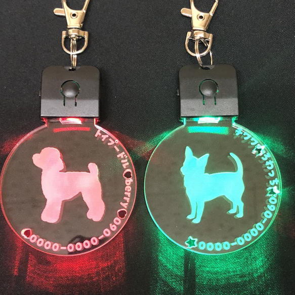 めっちゃカッコイイ！ ✨光る✨ペットたぐ キーホルダー 迷子札 犬 猫 犬首輪 LEDライト充電式 2枚目の画像