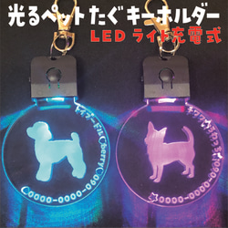 めっちゃカッコイイ！ ✨光る✨ペットたぐ キーホルダー 迷子札 犬 猫 犬首輪 LEDライト充電式 1枚目の画像