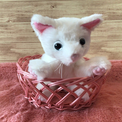 赤ちゃん猫(白猫)ふわふわ縫いぐるみ ぬいぐるみ もんぺるしぇ