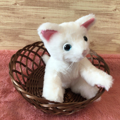 生後20日♡子猫のマシュマロちゃん♡ベビー♡アートドール♡ぬいぐるみ♡ 生後20日♡子猫のマシュマロちゃん♡ベビー♡アートドール
