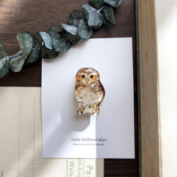 Little owl brooch｜コキンメフクロウブローチ 3枚目の画像