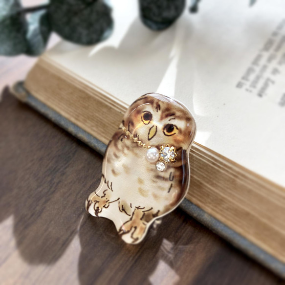 Little owl brooch｜コキンメフクロウブローチ 2枚目の画像