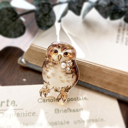 Little owl brooch｜コキンメフクロウブローチ 1枚目の画像