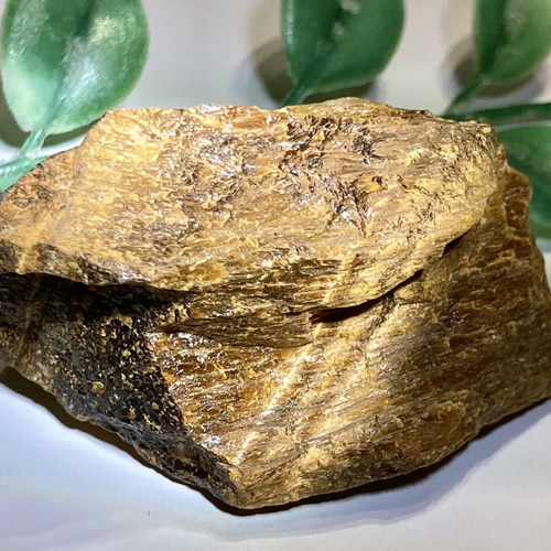 タイガーアイ 虎目石 原石 ラフストーン その他置物 東洋占星術師の娘