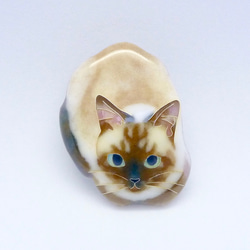 七宝焼きのピンブローチ＊香箱座りのネコ 1枚目の画像