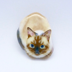 七宝焼きのピンブローチ＊香箱座りのネコ 3枚目の画像