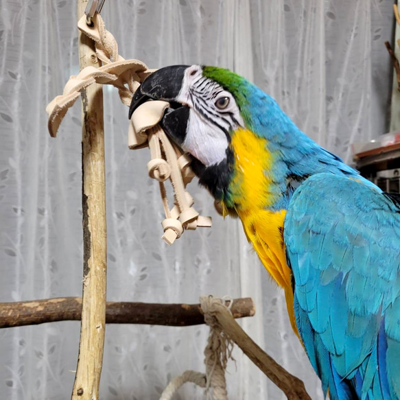 送料無料【ヨウム大型インコ向け】 本革牛ヌメ革❤️ガシガシ系鳥のおもちゃ【クラゲくん】 leather bird toy 13枚目の画像