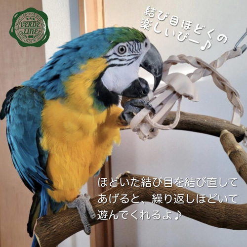 送料無料【ヨウム大型インコ向け】 本革牛ヌメ革❤️ガシガシ系