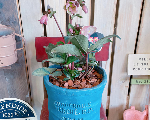 9fbb8f834cc92f0e0447b14b62881c