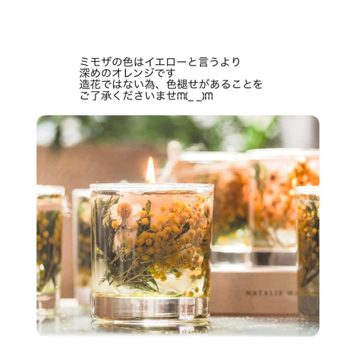 数量限定》ミモザキャンドル・オーガニックアロマ・再販 数量限定》ミモザキャンドル・オーガニックアロマ・再販