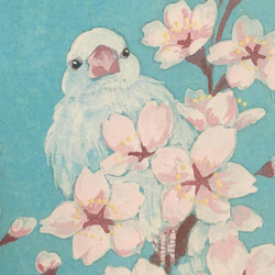 春の花の日本画　桜と文鳥 5枚目の画像