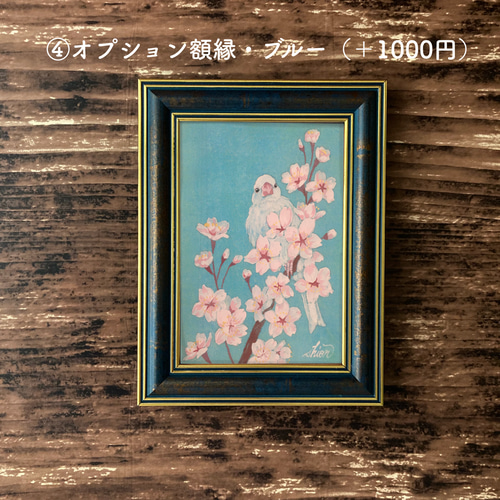 春の花の日本画 桜と文鳥 絵画 紫苑工房 通販 13249274｜Creema
