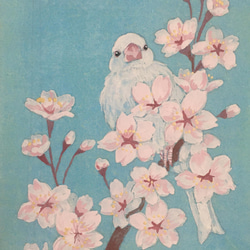春の花の日本画　桜と文鳥 4枚目の画像