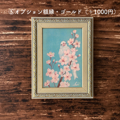 春の花の日本画 桜と文鳥 絵画 紫苑工房 -Atelier Shion- 通販