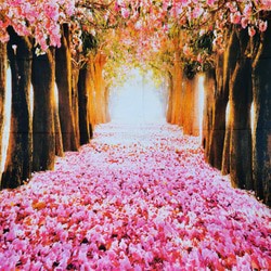 金具付きタペストリー【B67】桜並木　春　花筵　自然　癒し　模様替え 3枚目の画像