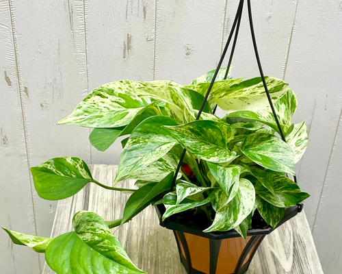 b3587b8cd4a3c6f285dffebd3a750b