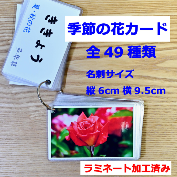 季節の花カード Part1 四季の学習に 小学校受験に おもちゃ・人形