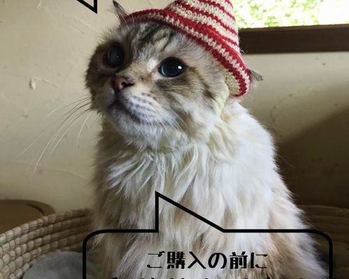 あせ　ご購入前に商品説明欄ご一読下さい ◇◇◇ お客様へ ◇ ご注文の前にご一読くださいますようお願い