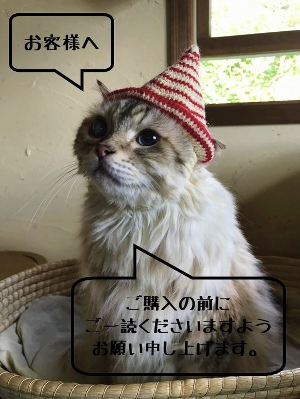 ◇◇◇ お客様へ ◇ ご注文の前にご一読くださいますようお願い 