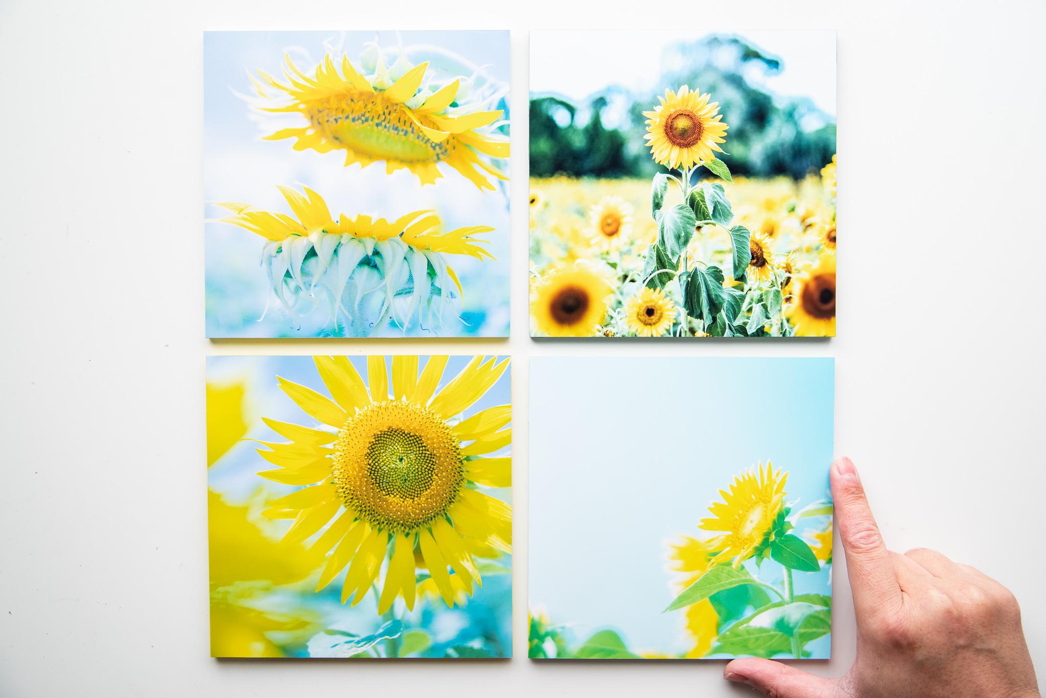 SQU4RE 150 -スクエア150-【太陽の花】新生活を彩るインテリアフォト