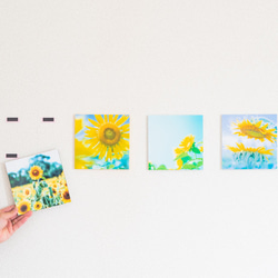 SQU4RE 150 -スクエア150-【太陽の花】新生活を彩るインテリアフォト 3枚目の画像