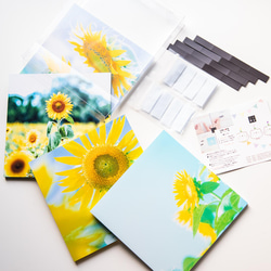 SQU4RE 150 -スクエア150-【太陽の花】新生活を彩るインテリアフォト 6枚目の画像