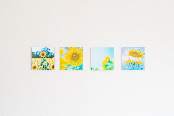 SQU4RE 150 -スクエア150-【太陽の花】新生活を彩るインテリアフォト 9枚目の画像