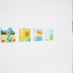 SQU4RE 150 -スクエア150-【太陽の花】新生活を彩るインテリアフォト 8枚目の画像