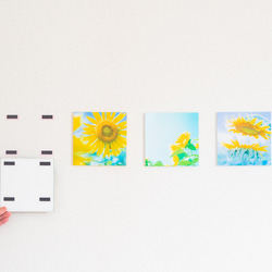 SQU4RE 150 -スクエア150-【太陽の花】新生活を彩るインテリアフォト 10枚目の画像