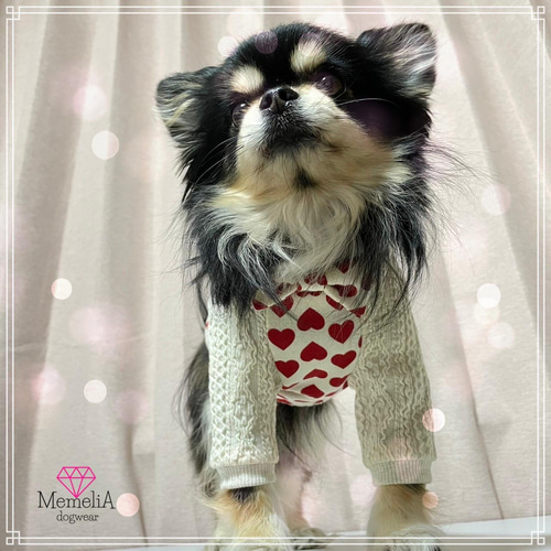 イタグレ用犬服】愛が溢れちゃう♡ハートまみれのらぶトレーナー