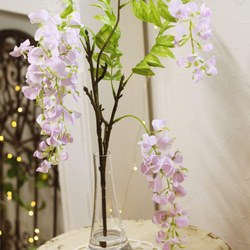 b455f9c7cc3ce3f05e876ad1318ca8