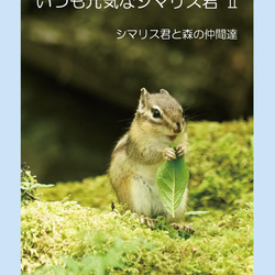 シマリス様 リクエスト 2点 まとめ商品 71jzJt9odqL.jpg_BO30,255,255,