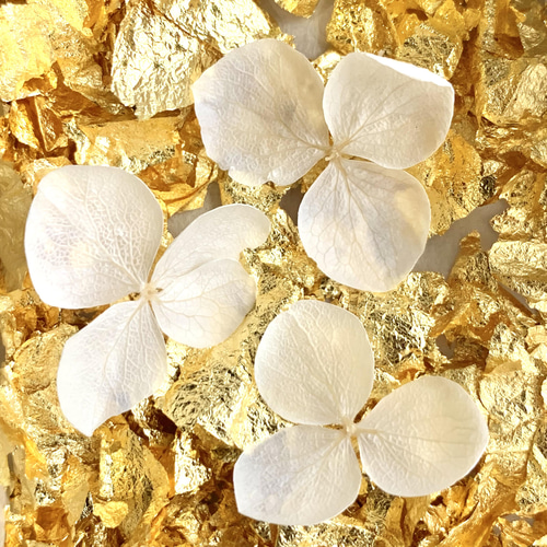 紫陽花ホワイト×金箔／バレッタ バレッタ hm.mamrmi 通販 13253239  
