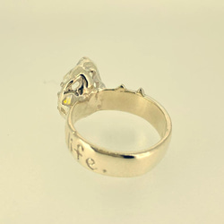 &lt;Ci-Pu&gt; Oil In Quartz No cat, No life. Ring 第9張的照片