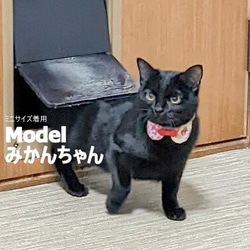 いちごのショートケーキまるえり＊猫ちゃん首輪 7枚目の画像