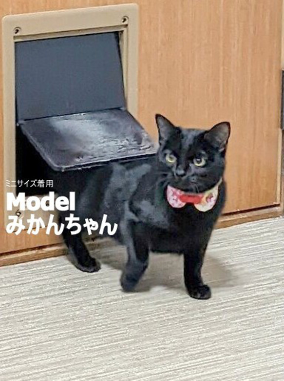 いちごのショートケーキまるえり＊猫ちゃん首輪 7枚目の画像