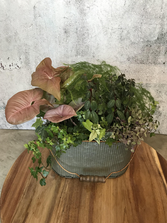 確認用 購入はできませんm(_ _)m その他インテリア雑貨 Hanahana 通販  