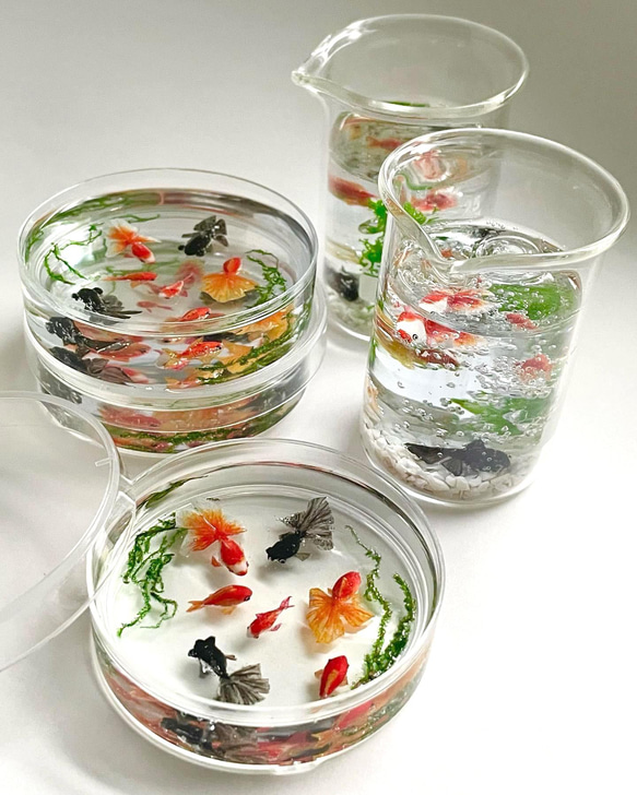 シャーレ、ビーカーで泳ぐ金魚 ミニチュア 理系雑貨 その他雑貨 池波屋