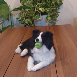 オーダー】羊毛フェルト 犬 猫 シェルティ ダックス オーダー】羊毛フェルト 犬 猫 シェルティ ダックス