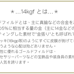 《14kgf》ピアスキャッチ3.8㎜×.4.6㎜ 【3ペア】 3枚目の画像