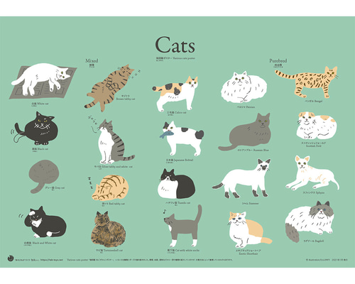 ⭐️猫たちA3ポスター 三猫倶楽部 A3リソグラフ ポスター 真夜中のおやつ：豆乳 – KISSA BOOKS