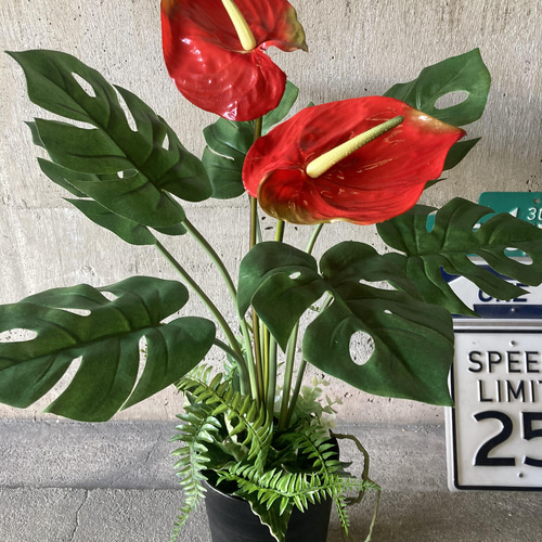 光触媒 人工観葉植物 ウォールグリーン フェイク アレンジ 光触媒 人工観葉植物 ウォールグリーン フェイク アレンジ