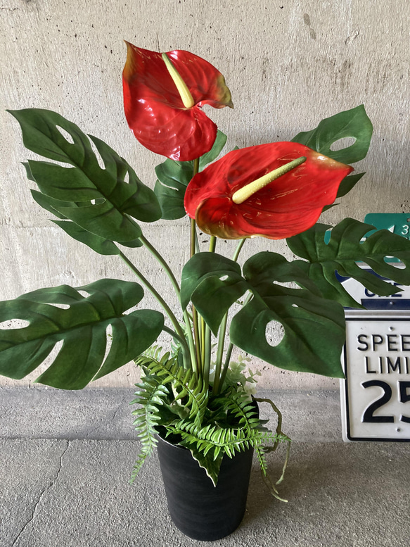 光触媒　人工観葉植物　ウォールグリーン　フェイクグリーン　パキラとカラジューム3 光触媒 人工観葉植物 ウォールグリーン フェイクグリーン パキラと