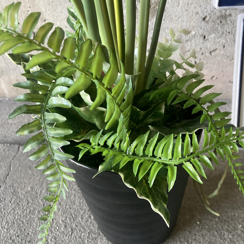 光触媒 人工観葉植物 ウォールグリーン フェイク アレンジ 光触媒 人工観葉植物 ウォールグリーン フェイク アレンジ