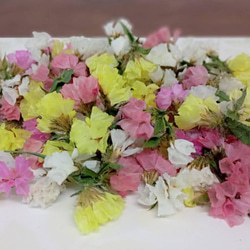 ドライフラワー❇️スターチス ブルーハワイ❣️ 楽天市場】ドライフラワー花材スターチス・ブルーハワイ