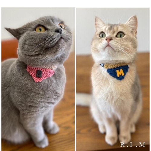 ☆コットンバンダナ＆イニシャル☆オーダー☆4色 小型犬＆猫の